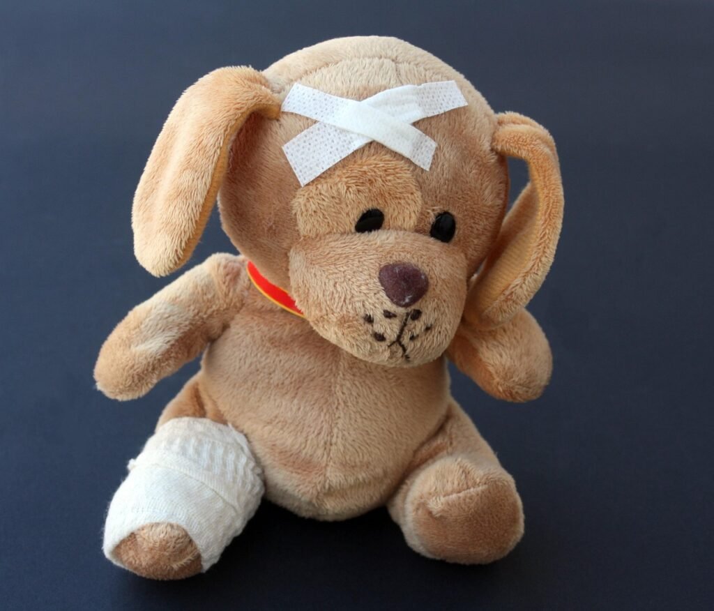 Pet Insurance Policies with No Waiting Period: How Accident-Only Pet Insurance Policies with No Waiting Period Operate